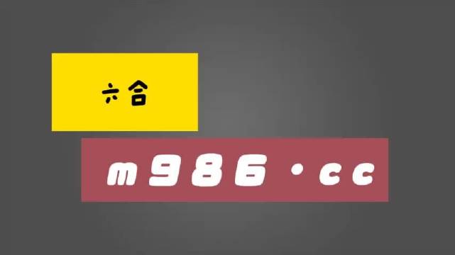 关于白小姐四肖四码及高速解析方案的探讨，风险揭示与警示提醒