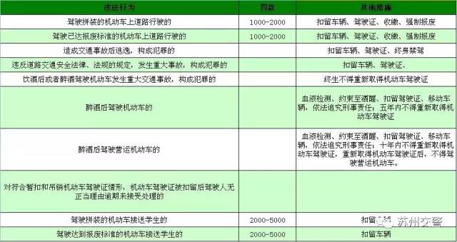 澳门六开奖结果精细解析评估报告，冒险版开奖记录回顾与评估（2023年）