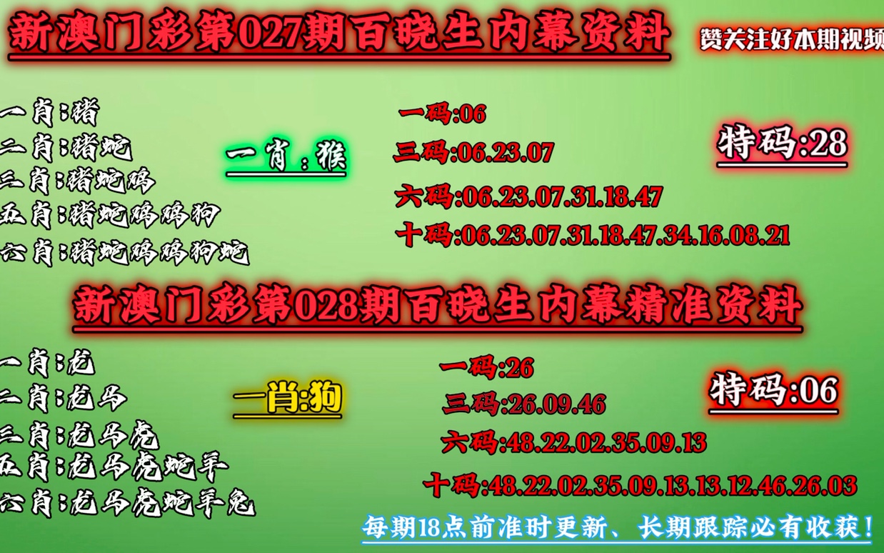 澳门王中王六码新澳门解析背后的犯罪警示与反思