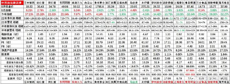 管家婆204年小龙女数据铂金版全面设计执行研究报告