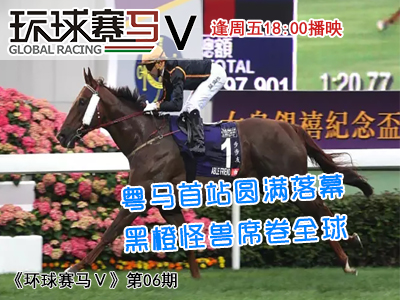 Prestige 60彩票预测解析，香港马会2024年彩票开奖前瞻与科学依据探讨