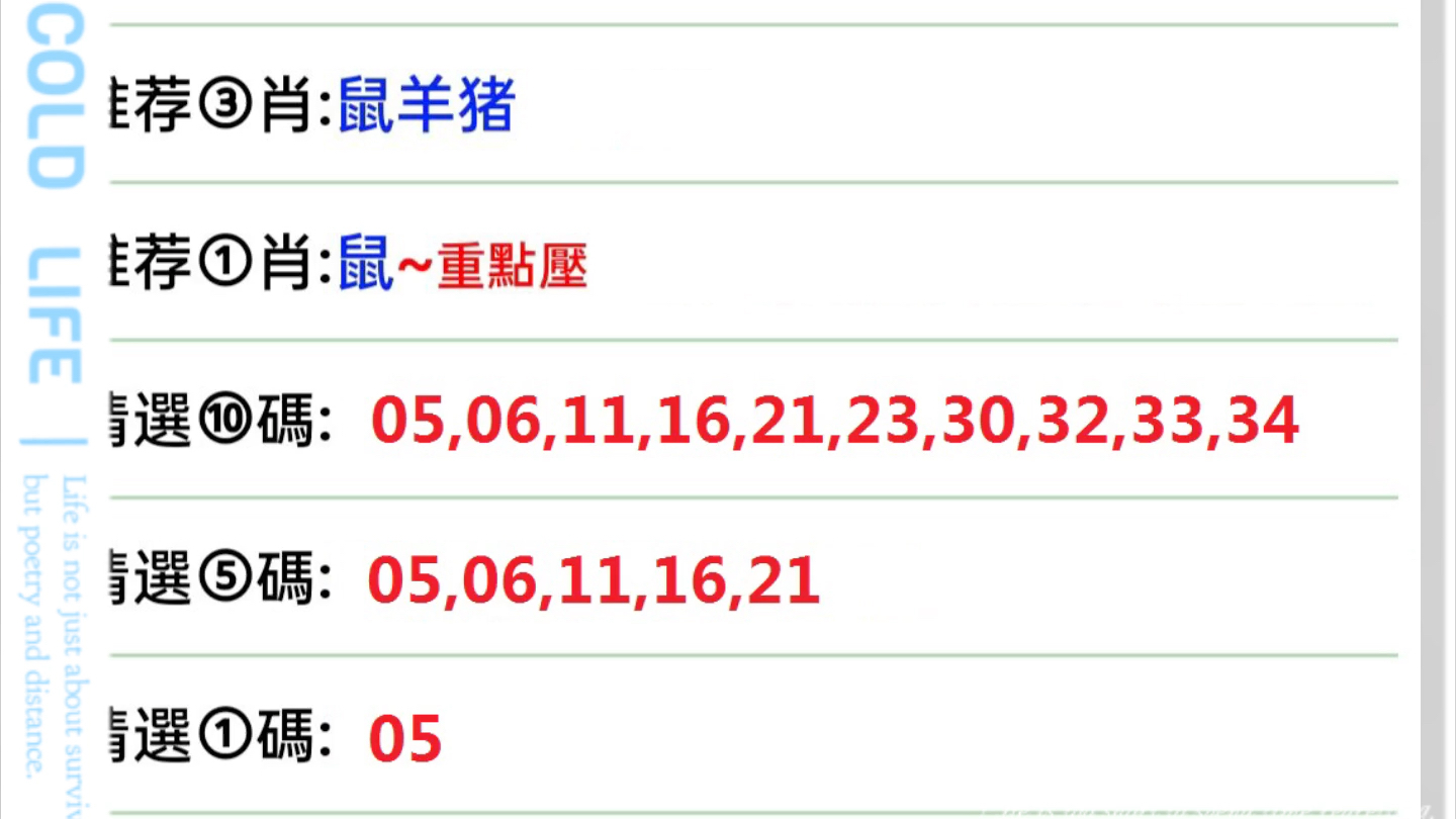 澳门马开奖结果与生肖表，动态策略执行探索