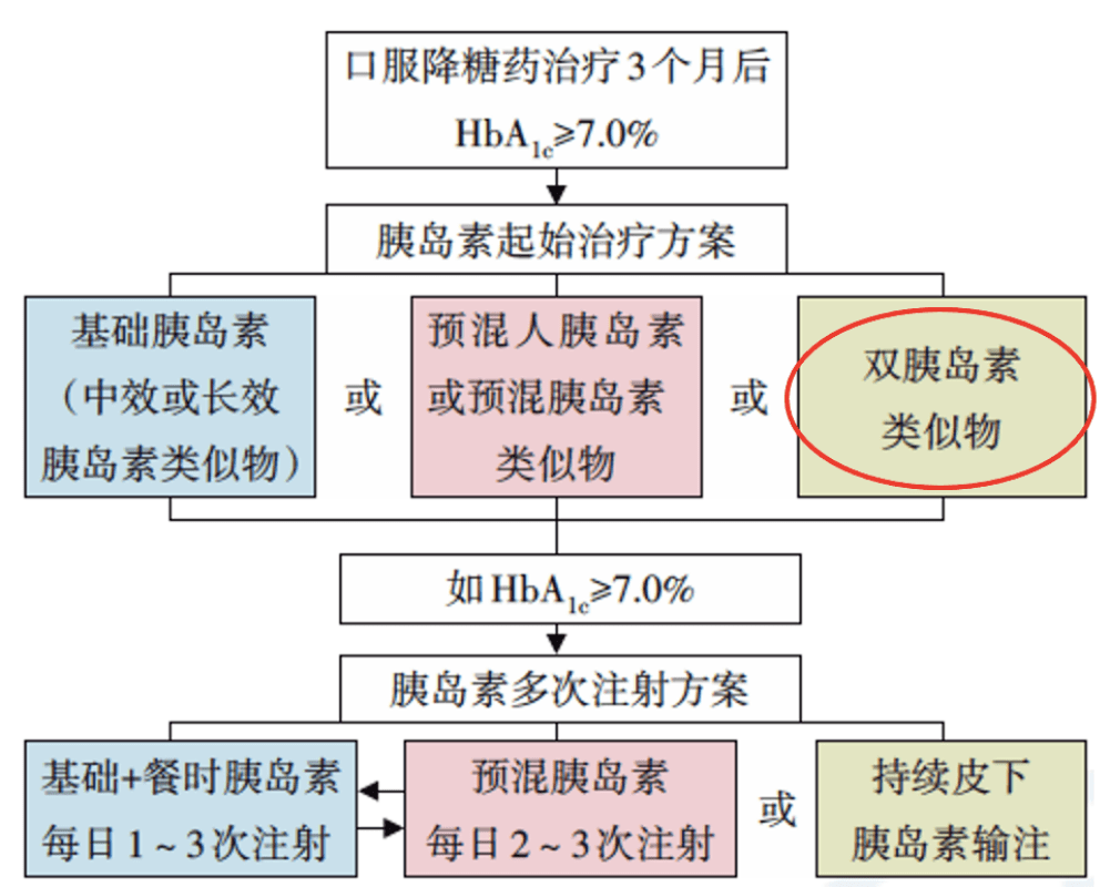 澳门资料大全的专业解读与实效性解析，犯罪问题探讨专家版