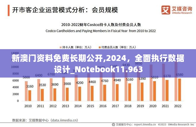 澳门特区免费资料与数据实施导向下的犯罪问题探讨，以Device 31.290为例分析