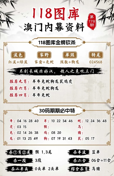 澳门神算子经典解读，定义与深层解析SP69.114揭秘