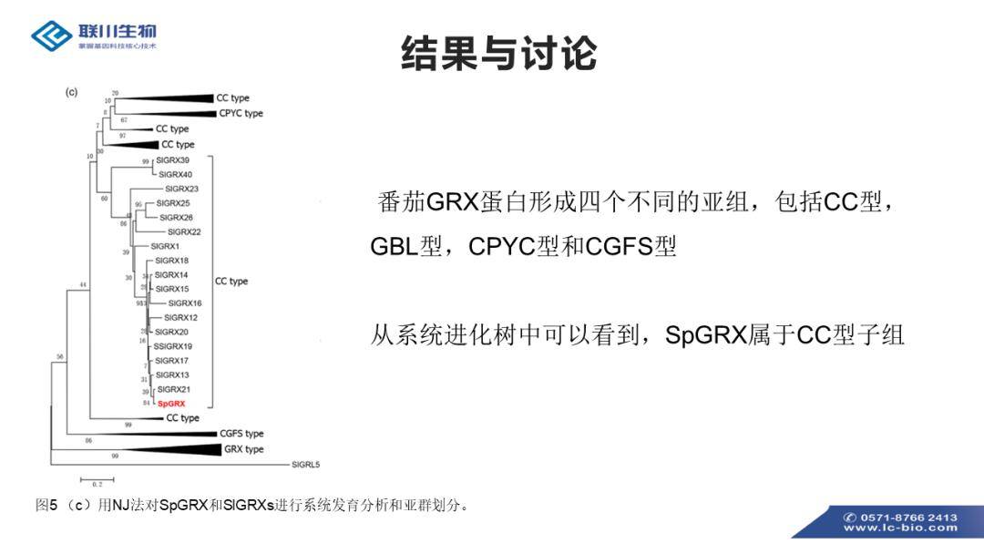 VR28.99引领实践策略实施与VR技术融合新篇章——探索应用与未来趋势