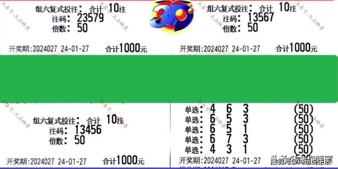 奥门彩票快速设计问题策略探讨，关键词2D95.569的挑战与机遇分析