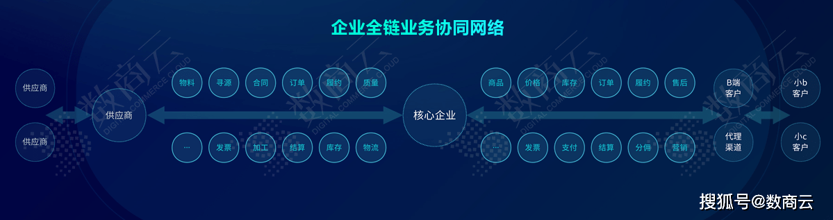 2024年11月13日 第48页