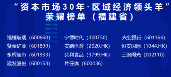 新澳2024年精准资料终极版，期期解析与实践案例说明