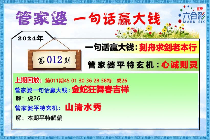 管家婆一肖一码资料详解，豪华款系统解答与特码解释落实 61.878版本揭秘