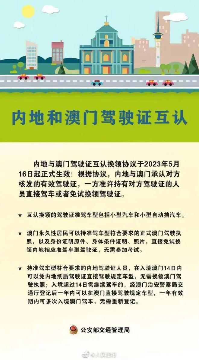 澳门正版资料解析与免费公开，犯罪问题探讨