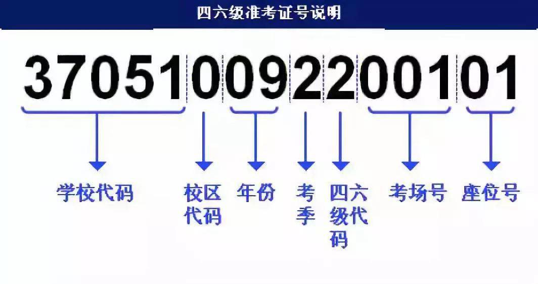 新奥彩免费服务与迅捷解答计划落地实施，安卓用户尽享全新体验