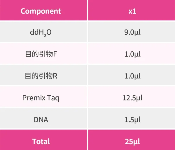 eShop 41.412 2024年图库更新与快速响应计划深度解析