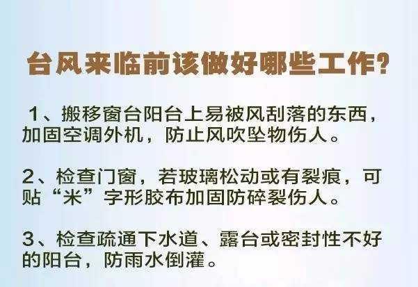 澳门特马资料解析与定性分析（微型版概览）