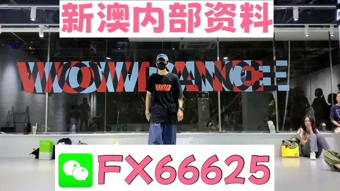 澳门管家婆精准资料大全与高效方法解析，AR90.743关键词深度探讨